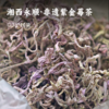 湘西永顺·非遗紫金莓茶 | 只采头春头采的芽头 紫度达到80%以上，数量极其稀缺！越喝嗓子越滋润 黄酮花青素营养 商品缩略图0