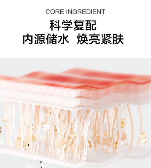 韩束酵母爽肤水50ml-5200 弹嫩紧致 敏感肌适用 商品图2