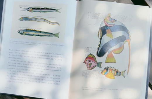 《自然的历史：精装典藏本》+《美国自然博物馆终极指南》 商品图4