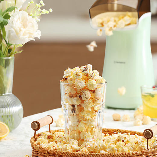 西屋Westinghouse-爆米花机WBM008【LXGWDXY2.0】 商品图4