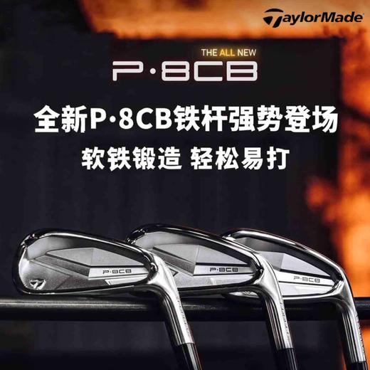 TaylorMade泰勒梅高尔夫铁杆组P8CB高容错男士软铁锻造球杆新款 商品图0