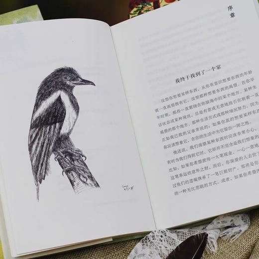 【附赠书签】喜鹊乔治 我们WoMen书系 宠物暖心故事回忆录 女性文学外国小说 后浪正版 商品图2