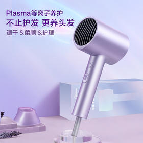 美的 电吹风FJ306