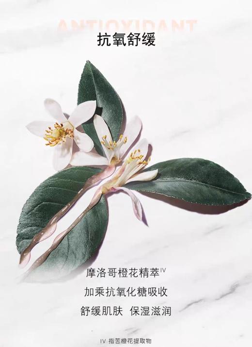 YSL圣L兰夜皇后水盾面霜干皮挚爱 商品图1