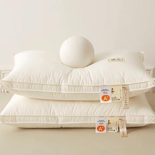 因为+所以 / Because & So A类大豆蛋白纤维枕-双边-单个装 商品图0