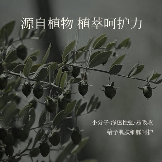 橪金色荷荷巴油50ml 基础油 商品图2