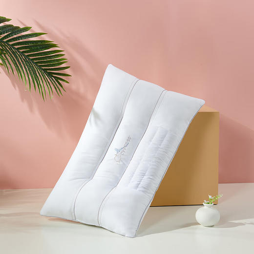 孚日家纺 决明子香氛枕 商品图9