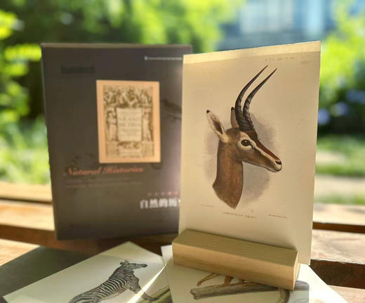 《自然的历史：精装典藏本》+《美国自然博物馆终极指南》 商品图2