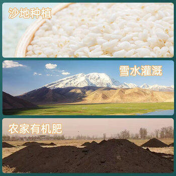 羊脂籽米新疆大米10斤 一级粳米有机胚芽米 礼盒5kg 当季新米 自营 /粮油调味 /米 /长粒香米 商品图1