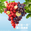 忆小口山楂西梅水果条60g/蓝莓紫葡萄水果条60g 商品缩略图6