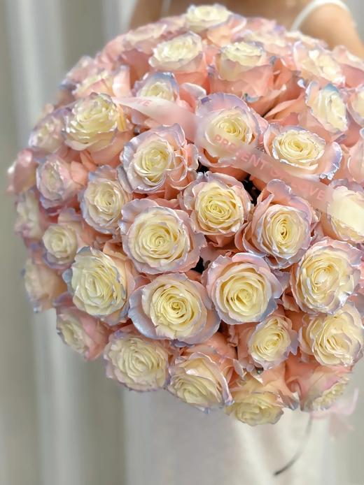 厄瓜多尔进口染色玫瑰AURORA BOREAL粉色欧诺拉北极光10支 商品图4