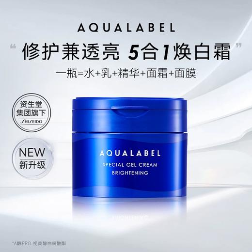 Shiseido 资生堂 水之印五合一面霜 90g 蓝色 商品图0