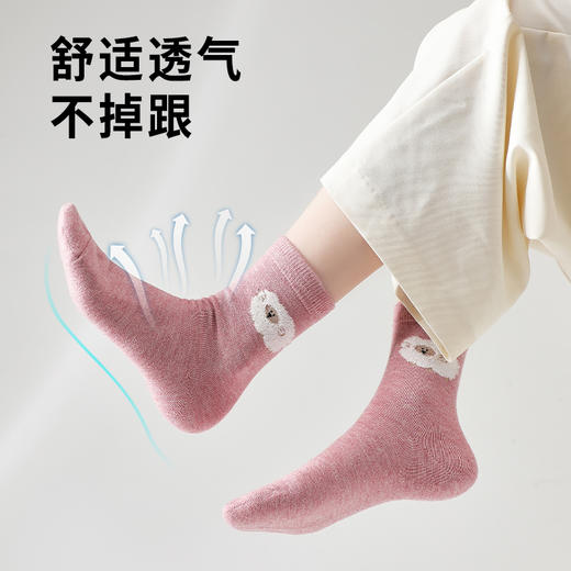 抵羊 绵羊毛女袜 商品图3