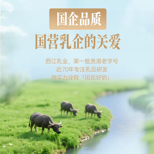 西江乳业丨古法红糖水牛奶 200g*10盒 商品图3