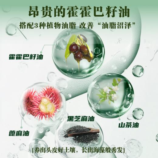 芙本天然侧柏叶核桃榧子洗发皂 商品图3