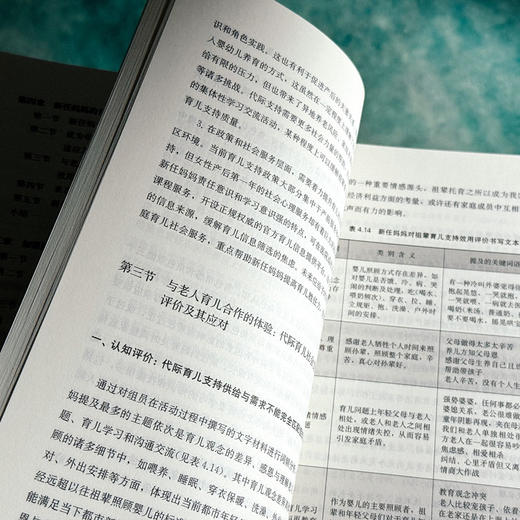 携手共进 新任妈妈育儿社会支持的干预研究 何姗姗 女性产后社会支持 商品图9