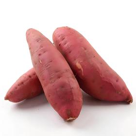佐禧佑福 六鳌蜜薯红心蜜薯糯香甜地瓜农家种植产地直发（顺丰包邮）六鳌红蜜薯