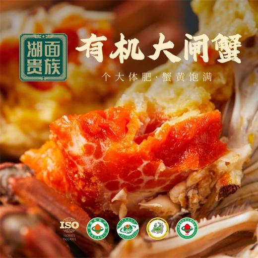 【有机好蟹】湖面贵族 有机阳澄湖大闸蟹 1098型/1298型/1698型/2098型提货卡 商品图5