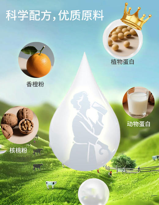 SC （食品）优乐健叶酸多维蛋白质粉 有效期20280129 商品图4