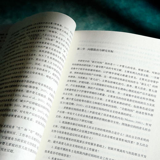 携手共进 新任妈妈育儿社会支持的干预研究 何姗姗 女性产后社会支持 商品图8