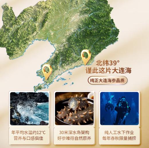 仁和御膳即食海参普通装，仁和集团旗下高端膳食品牌，选用纯正大连地产刺参，低温熟化工艺，锁住活参营养， 解冻即食，固形物含量》80%。2斤起售，全国顺丰包邮。 商品图5