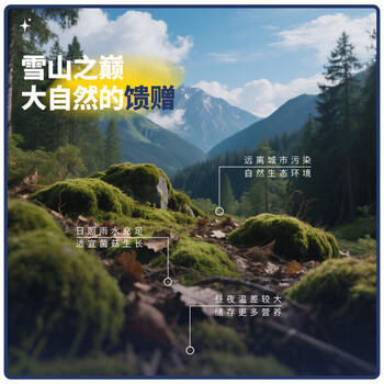 贡极雪域四宝山珍干货礼盒120g南北干货菌菇礼盒送礼企业团购煲汤食材 /粮油调味 /南北干货 /组合干货 商品图2