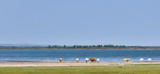 【国庆·陕北】6天5晚丨一起聆听来自黄土高原的呼唤 商品图2