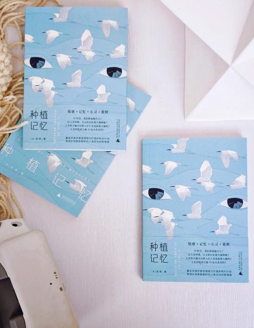 种植记忆  张翎/著 情感 记忆 心灵 救赎 人工智能 芯片 未来 孤独 机器人 张翎 种植  广西师范大学出版社 商品图7