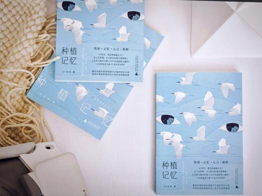 种植记忆  张翎/著 情感 记忆 心灵 救赎 人工智能 芯片 未来 孤独 机器人 张翎 种植  广西师范大学出版社 商品图8
