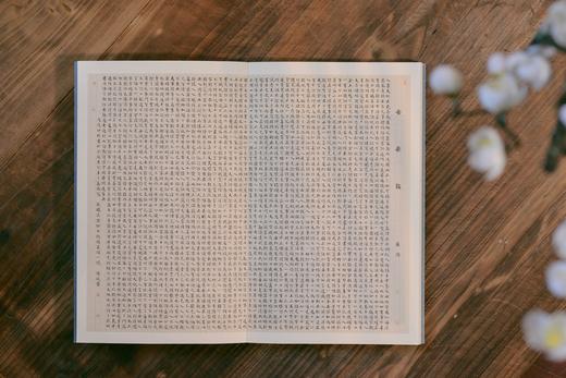 安乐铭 商品图5