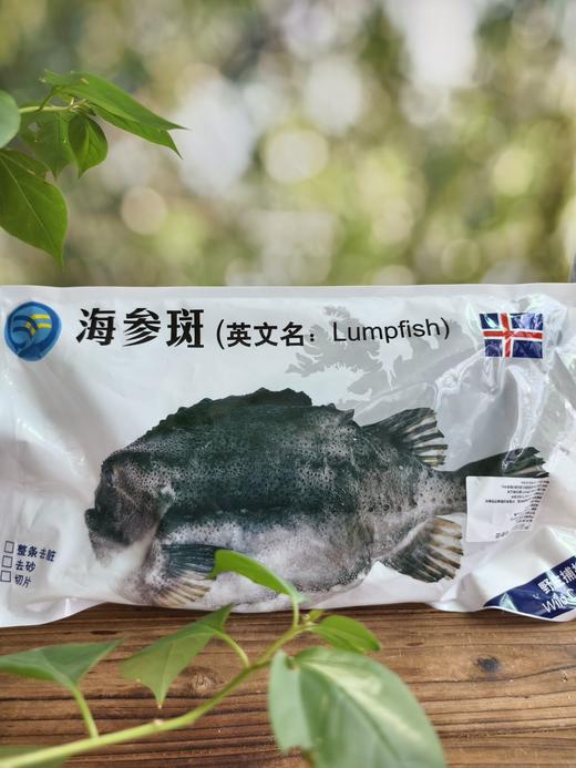 「QQ的皮～」冰岛海参斑鱼  去鳞去鳃去内脏txa 商品图8