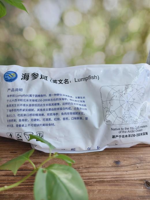 「QQ的皮～」冰岛海参斑鱼  去鳞去鳃去内脏txa 商品图10