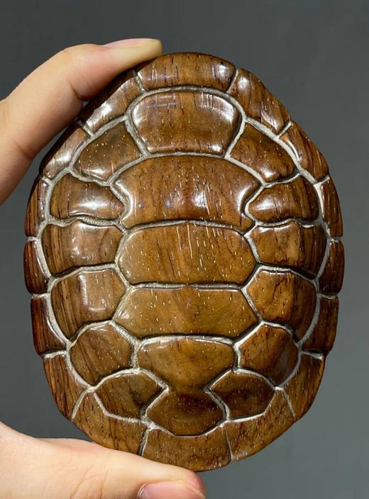 海南黄花梨龟壳形镇纸，顺丰包邮 商品图5