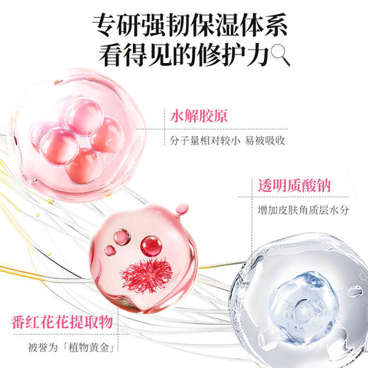 【年货节直降·推荐拍4盒】美肤宝参芝弹润紧致安瓶精华液 1.5mlx30支 商品图5