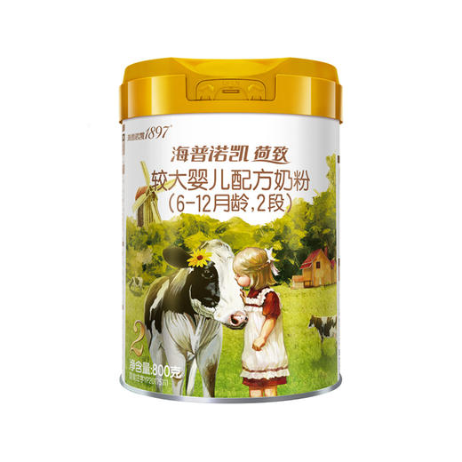 海普诺凯1897荷致A2蛋白奶源版婴儿配方奶粉2段800g 商品图0