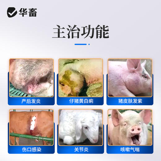 华畜盐酸头孢噻呋注射液100ml  混合感染产后消炎三针保健 商品图1