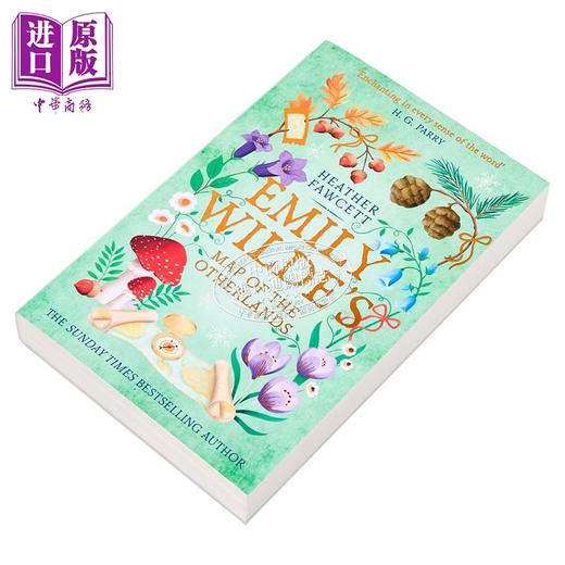 【中商原版】艾米丽 王尔德系列 第二部 异域地图 英文原版 Emily Wildes Map of Otherlands Heather Fawcett  商品图4