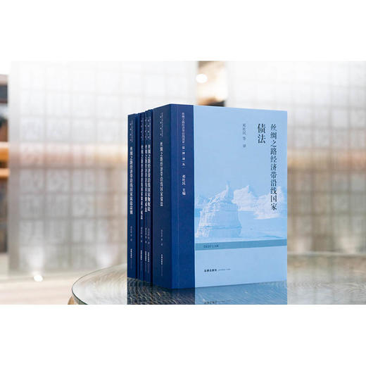 6本套装 丝绸之路经济带沿线国家法律译丛 邓社民等译 法律出版社 商品图1