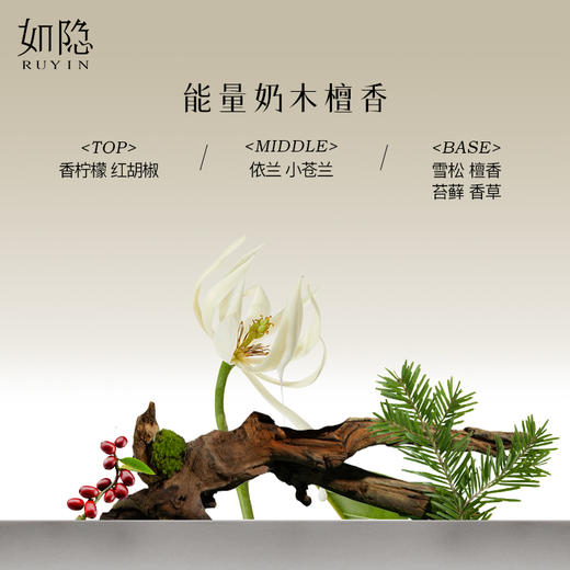 如隐RUYIN孟极香水 中性男女士寺庙奶檀木质香淡香木质礼盒礼物 商品图1