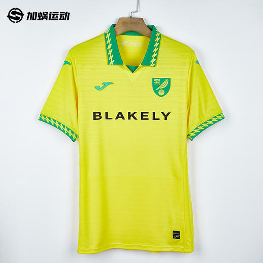 SFS荷马Joma 25/26诺维奇主场球员版球衣5156FP0568 商品图0