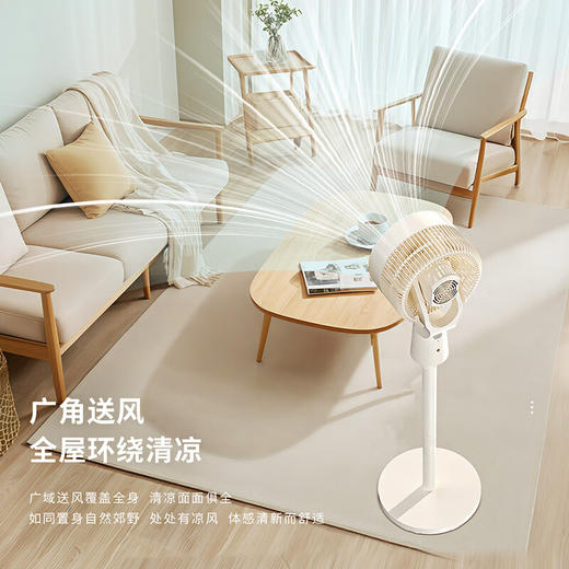 艾青春落地空气循环扇AI-FS2103 商品图2