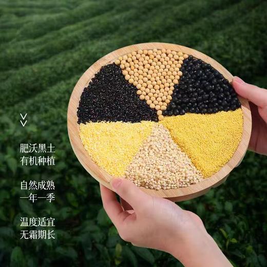 燕之坊臻品有机杂粮礼盒3kg(纯享版) 商品图3