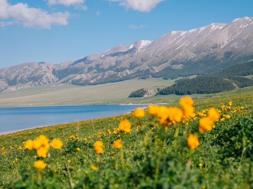 伊犁初夏 | 新疆草原花海 赛里木湖 越野轻旅拍小团 7日 商品图6