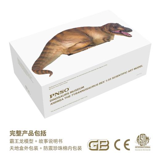 PNSO霸王龙安德莉亚恐龙博物馆1：35科学艺术模型 商品图3