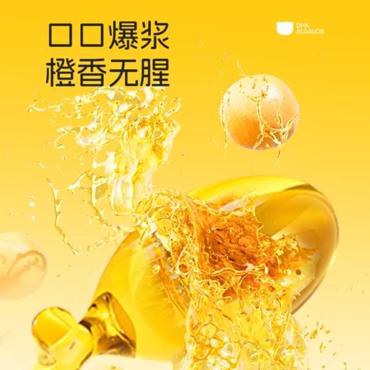27年11月 诺特兰德 DHA藻油无糖型凝胶糖果 甜橙味 商品图3