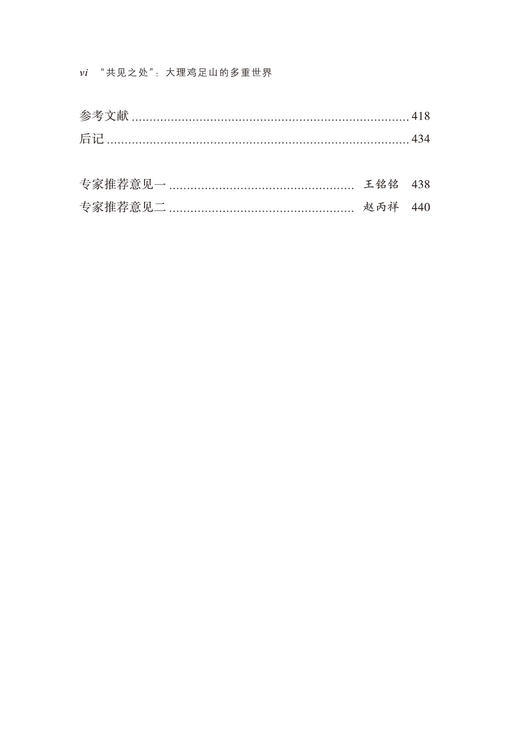 “共见之处”：大理鸡足山的多重世界(日新文库) 商品图4