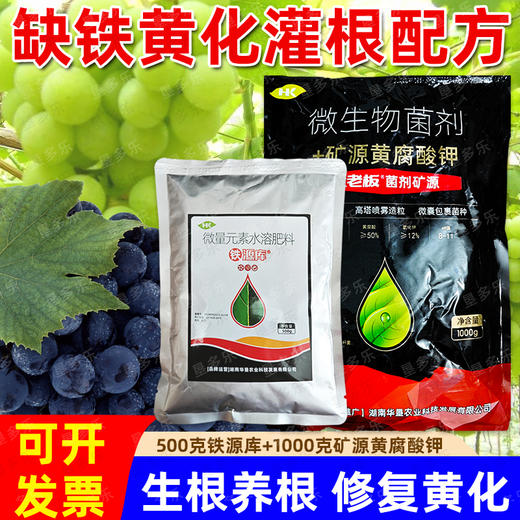 果树缺铁黄化套餐铁源库矿源黄腐酸钾生根养根预防黄化农用肥料 商品图2