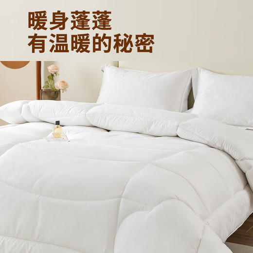 ANCHOW安巢 羊毛混合冬被AW10706 商品图1