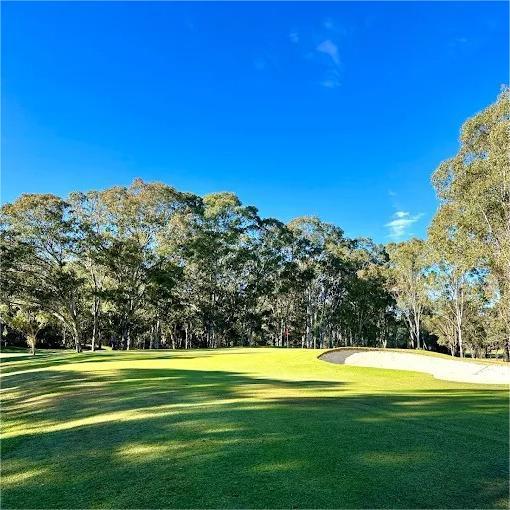 橡树河谷高尔夫度假村（灰袋鼠球场）Riverside Oaks Golf Resort（Gangurru course） | 悉尼高尔夫球场  | 澳大利亚高尔夫球场俱乐部 商品图1