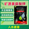 土老板腐植酸腐殖酸矿源黄腐酸钾改良土壤生根养根水溶肥冲施肥 商品缩略图1